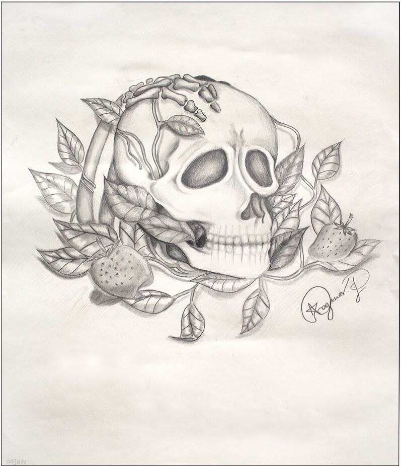 This is a drawing of a skull with a vine and leaves wrapped around it.